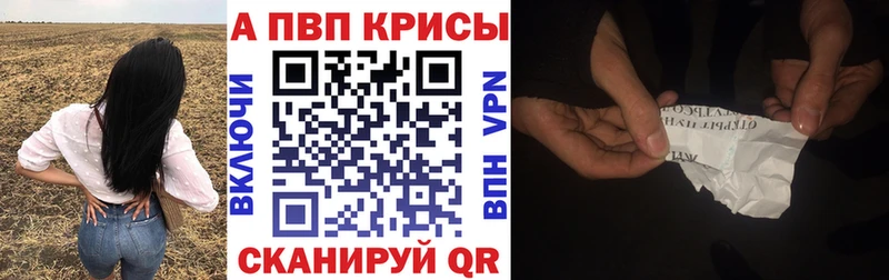 omg как зайти Заринск Альфа ПВП Соль