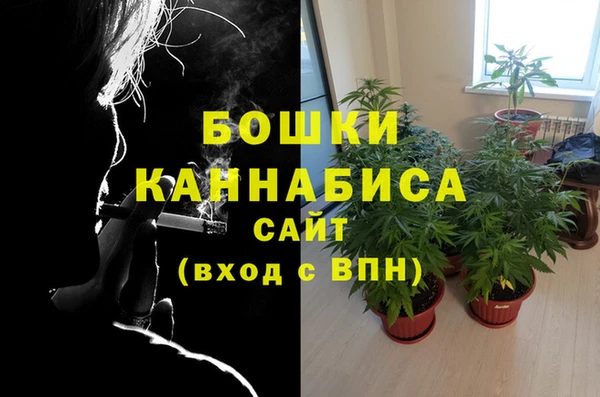 ALPHA PVP Белокуриха